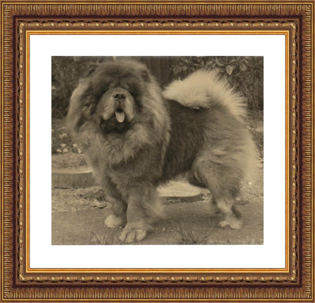 Yangframed.jpg (204426 bytes)