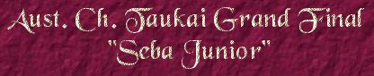 sebajuniortitle.jpg (12846 bytes)